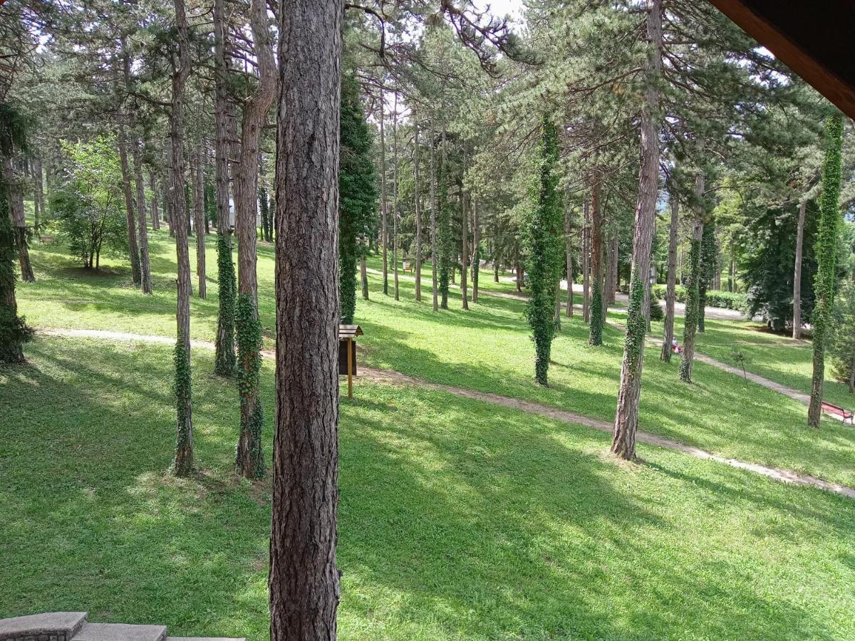 Prenociste/restoran Lovac Gasthof *